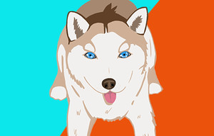 play Pawpuzzles(Prototype)
