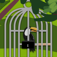 play 8B Toucan Couple Escape