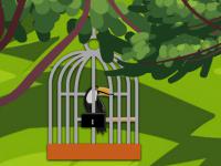 play Toucan Couple Escape