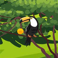 play 8B Toucan Couple Escape