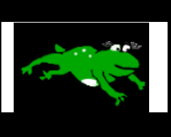 play Froggi