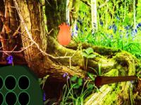 play Crowned Pigeon Fantasy Escape