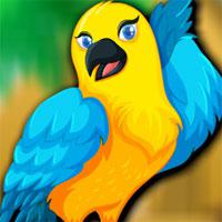 play Beautiful Bird Escape