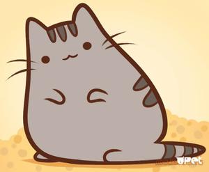play Adventure Super Cat