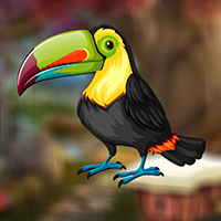 Cute Toucan Bird Escape