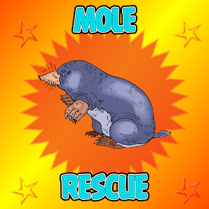 Mole-Rescue-From-House