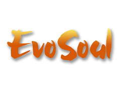 play Evosoul