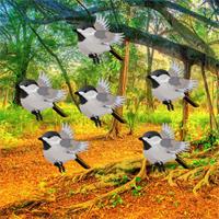 play Sparrow Family Escape