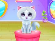 Cute Kitty Caring And Dressup