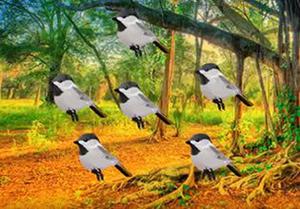play Sparrow Family Escape