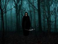 play Dead Angel Forest Escape
