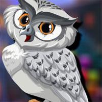 play Elf Owl Escape