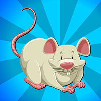 play Crazy Rat Escape