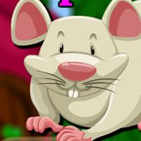 play Crazy Rat Escape