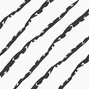 play Zebra
