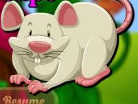 play Crazy Rat Escape