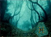 play Spooky Forest Escape