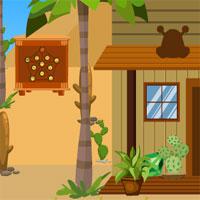 play Avmgames Smart Pigeon Escape