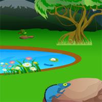 play Jungle Forest Owl Escape