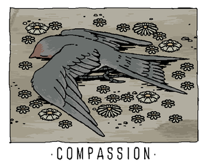 play Compassion