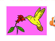 play Bird Coloring