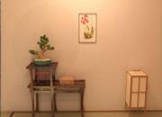 play Sakura & Washitsu