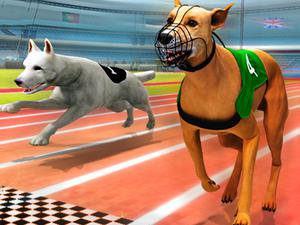 play Real Dog Racing Simulator 3D