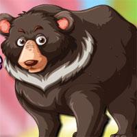 play Black Bear Escape