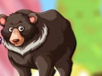 play Black Bear Escape