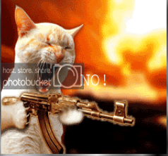 play 3 - Gato Salvaje