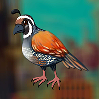 play Myna Bird Escape