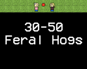 play 30-50 Feral Hogs