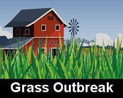 play Grass Outbreak