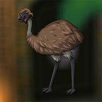 Emu Bird Escape