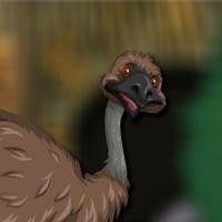 Emu Bird Escape