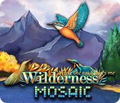 play Wilderness Mosaic: Where The Road Takes Me