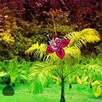 Big Fantasy Tropical Garden Escape