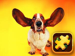 play Funny Dogs Puzzle