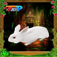 play Rescue-The-Rabbit