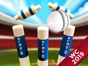 play Cricket World Cup Game 2019 Mini Ground Cricke