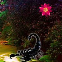 play Black Scorpion Forest Escape