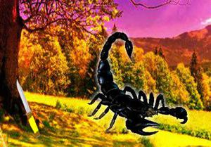 Black Scorpion Forest Escape