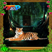 play Top10 Rescue The Tiger