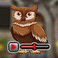 Barn Owl Escape Game Walkthrough