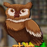 play Avmgames Barn Owl Escape