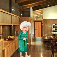 play Grandma In Search Of Grandson