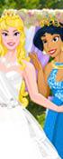 Disney Princess Bridesmaids