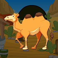 play Bactrian Camel Escape