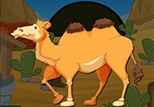 play Bactrian Camel Escape