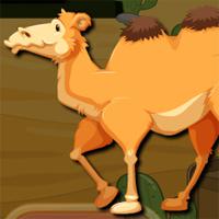 play Avmgames Bactrian Camel Escape
